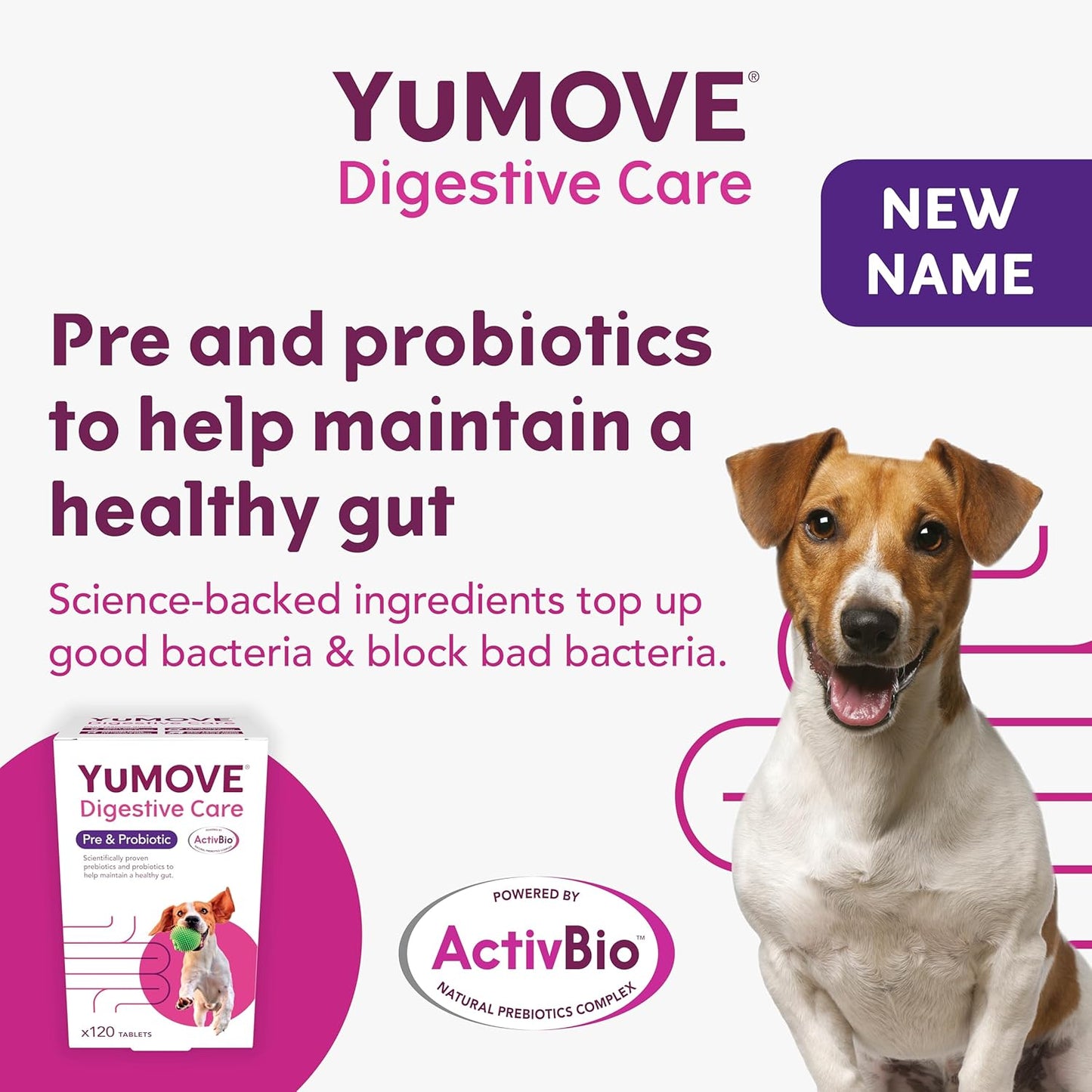 YuMOVE Digestive Care, Dog Pre and Probiotics Supplement for Gut Health, Digestive Support for All Ages and Breeds, 120 Tablets - Eco Friendly and Letter Box Ready Packaging