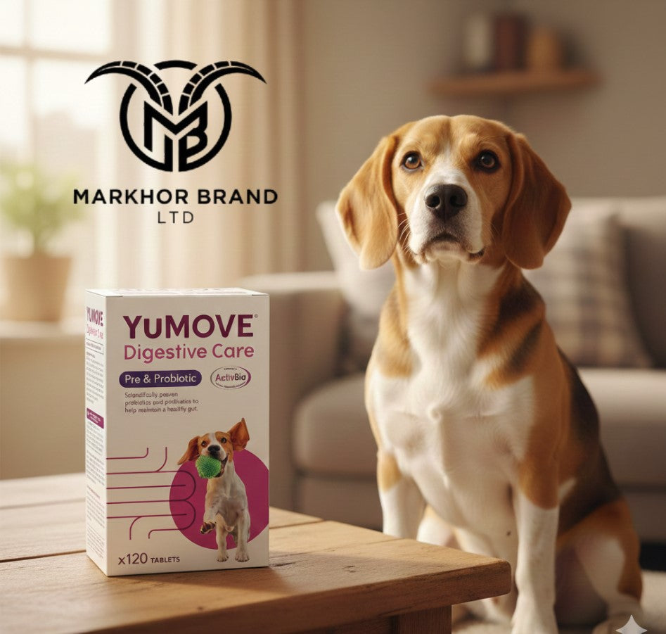 YuMOVE Digestive Care, Dog Pre and Probiotics Supplement for Gut Health, Digestive Support for All Ages and Breeds, 120 Tablets - Eco Friendly and Letter Box Ready Packaging