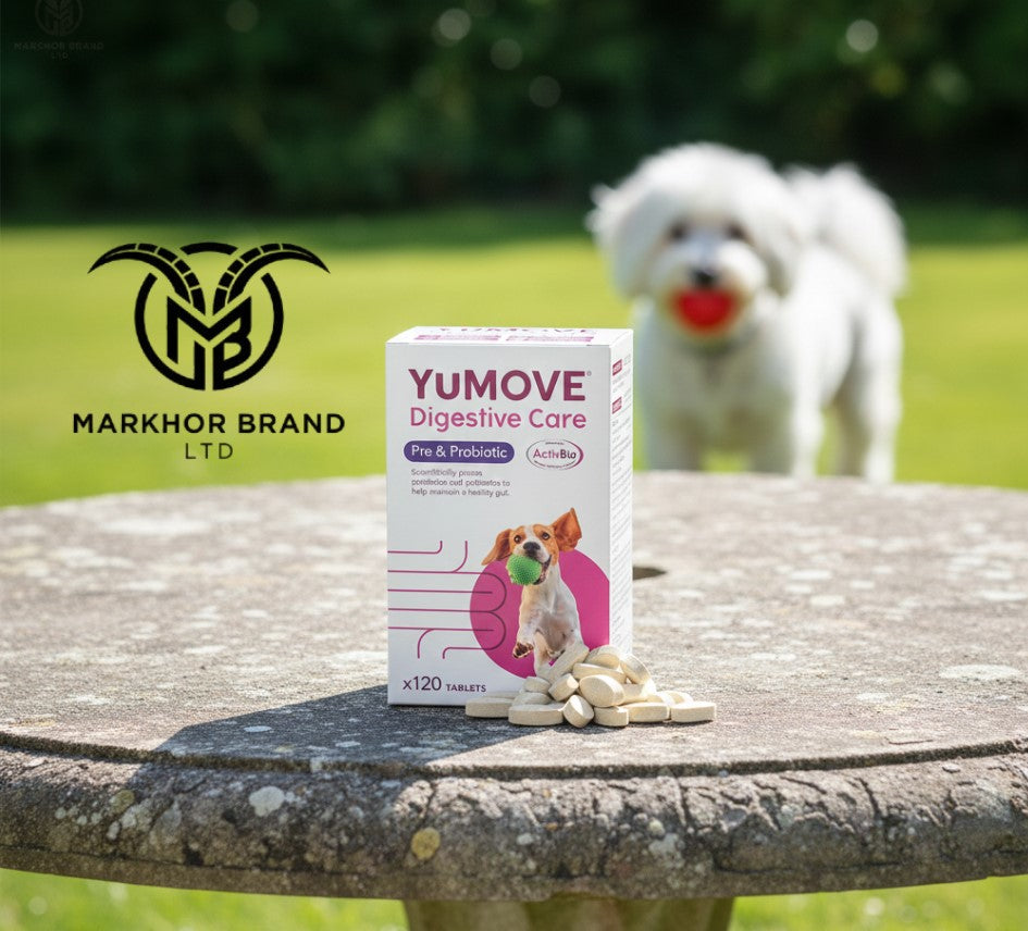 YuMOVE Digestive Care, Dog Pre and Probiotics Supplement for Gut Health, Digestive Support for All Ages and Breeds, 120 Tablets - Eco Friendly and Letter Box Ready Packaging