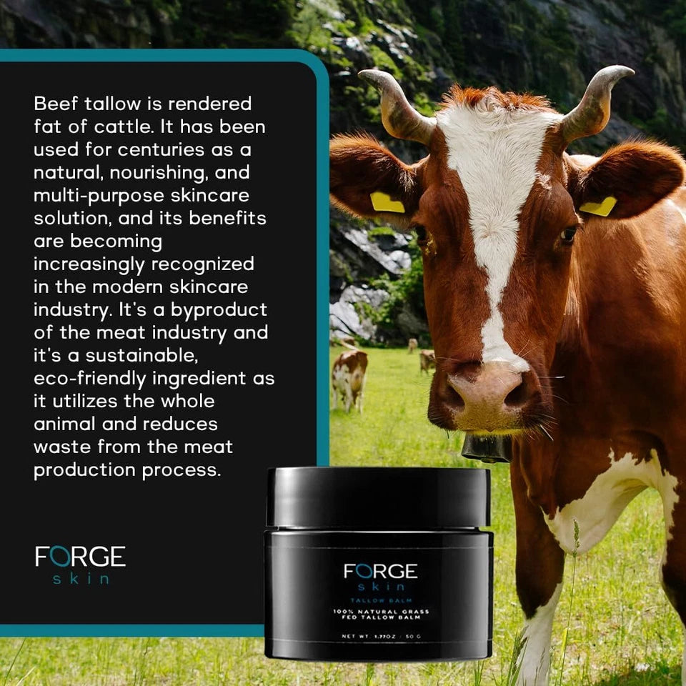 Forge Skin Men’s Wrinkle Defense Beef Tallow Face Balm Anti-Aging Moisturizer